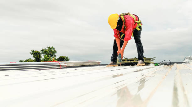 Best Solar Panel Roofing Installation  in Silver Bay, MN