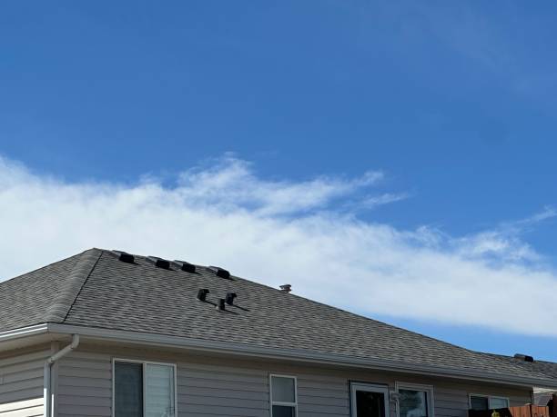 Best Wood Shake Roofing  in Silver Bay, MN